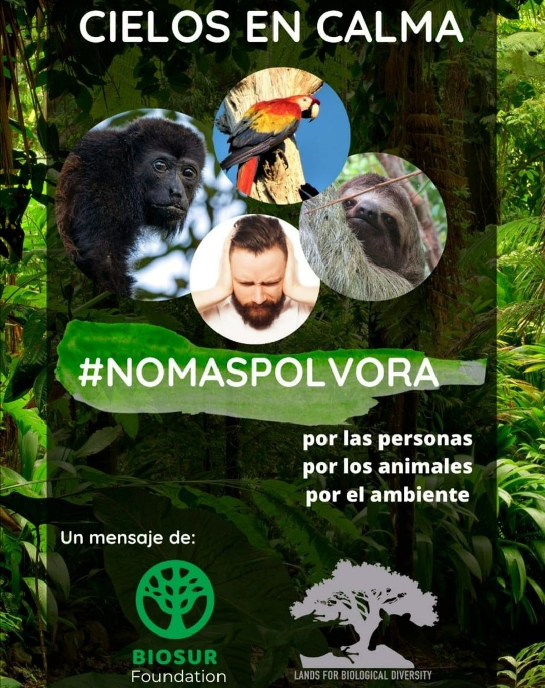 El mejor acto de amor es decir NO al uso de pólvora.

@biosurfound y @landsforbiologicaldiversity se unen a la iniciativa #cielosencalma #noalapolvora porque creemos que las personas, los animales y el ambiente lo merecen.

Año a año mueren cientos de animales del bosque y mascotas a causa de las fuertes explosiones de pólvora, ellos tienen sus oídos muy sensibles al sonido. Además, los mares, ríos y bosques son contaminados por los desechos que caen del cielo al reventar la pólvora. 🦜🦥🐕

📢Invitamos a la sociedad en general e instituciones públicas y privadas a difundir este mensaje en tus redes sociales para concientizar a más personas. 

Es tiempo de actuar.
¡Únete a nosotros!🙌🏾

#nomaspolvora #cielosencalma #nofireworks #costarica #puravida #animallovers #wildlife #saferainforest #osapeninsula #peninsuladeosa #golfodulce #puertojimenez #nature #makechange #hasladiferencia #