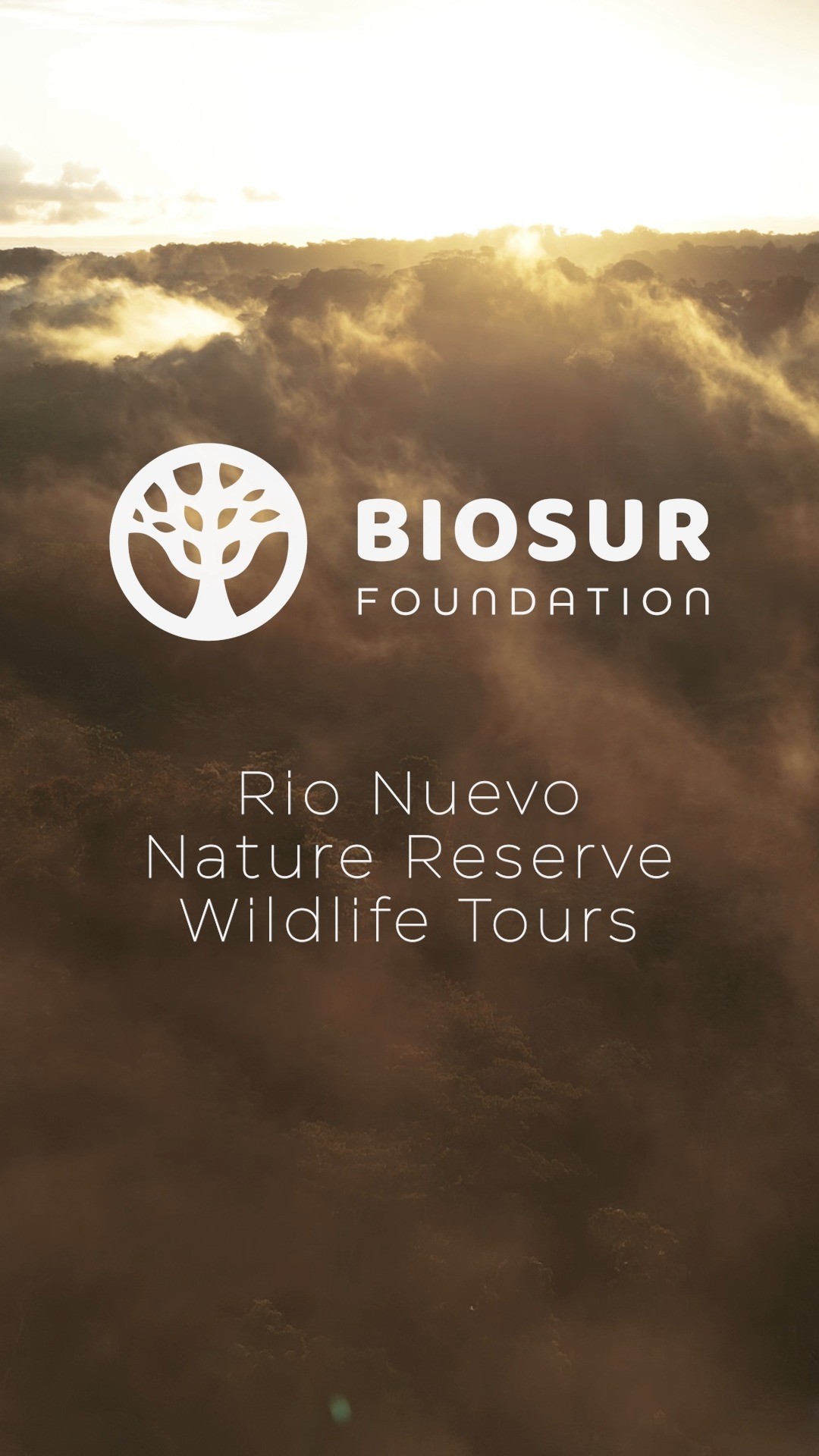 Do you want to travel with a purpose? Are you looking for an authentic rainforest experience, swim in a pristine river in the middle of the jungle and support conservation? Look no further! The Rio Nuevo Nature Reserve, only 20mins away from Puerto Jimenez, is the perfect place for that. More information about our tours on www.biosurfoundation.org

#corcovado #corcovadonationalpark #wildlifetours #wildlife #wildlifesanctuary #osapeninsula #costarica #puravida #conservation #wildlifeconservation #natureconservation #ecotourism #tourism #rionuevonaturereserve #rionuevo #instagood #instalike #reelitfeelit #osaconservation #golfodulce #visitcostarica #rainforest #biosurfoundation #peninsuladeosa